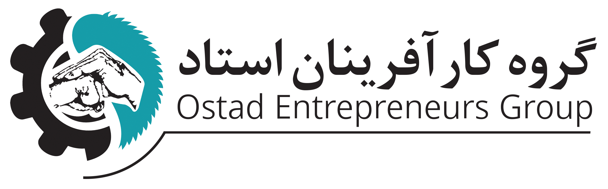 گروه کارآفرینان استاد