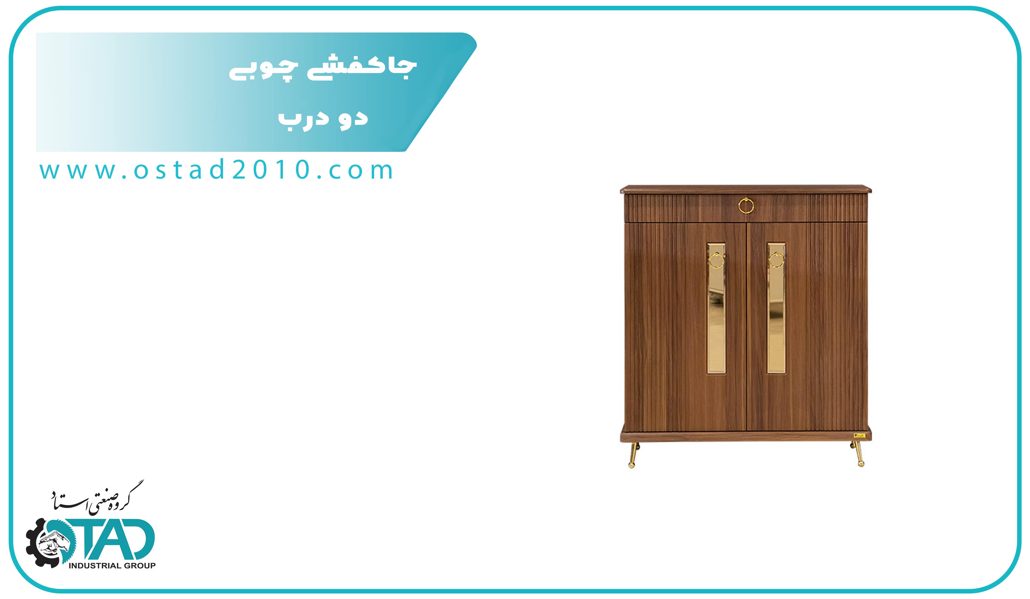 Two-Door Wooden Shoe Cabinet