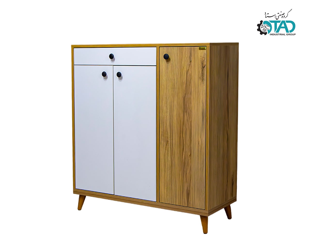 Berkeh Shoe Cabinet