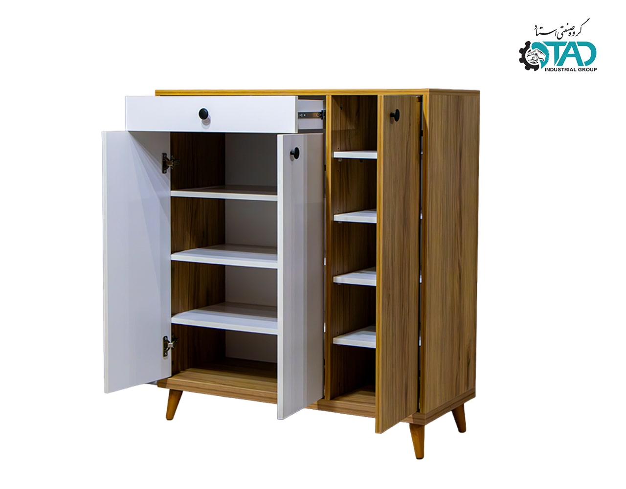 Berkeh Shoe Cabinet