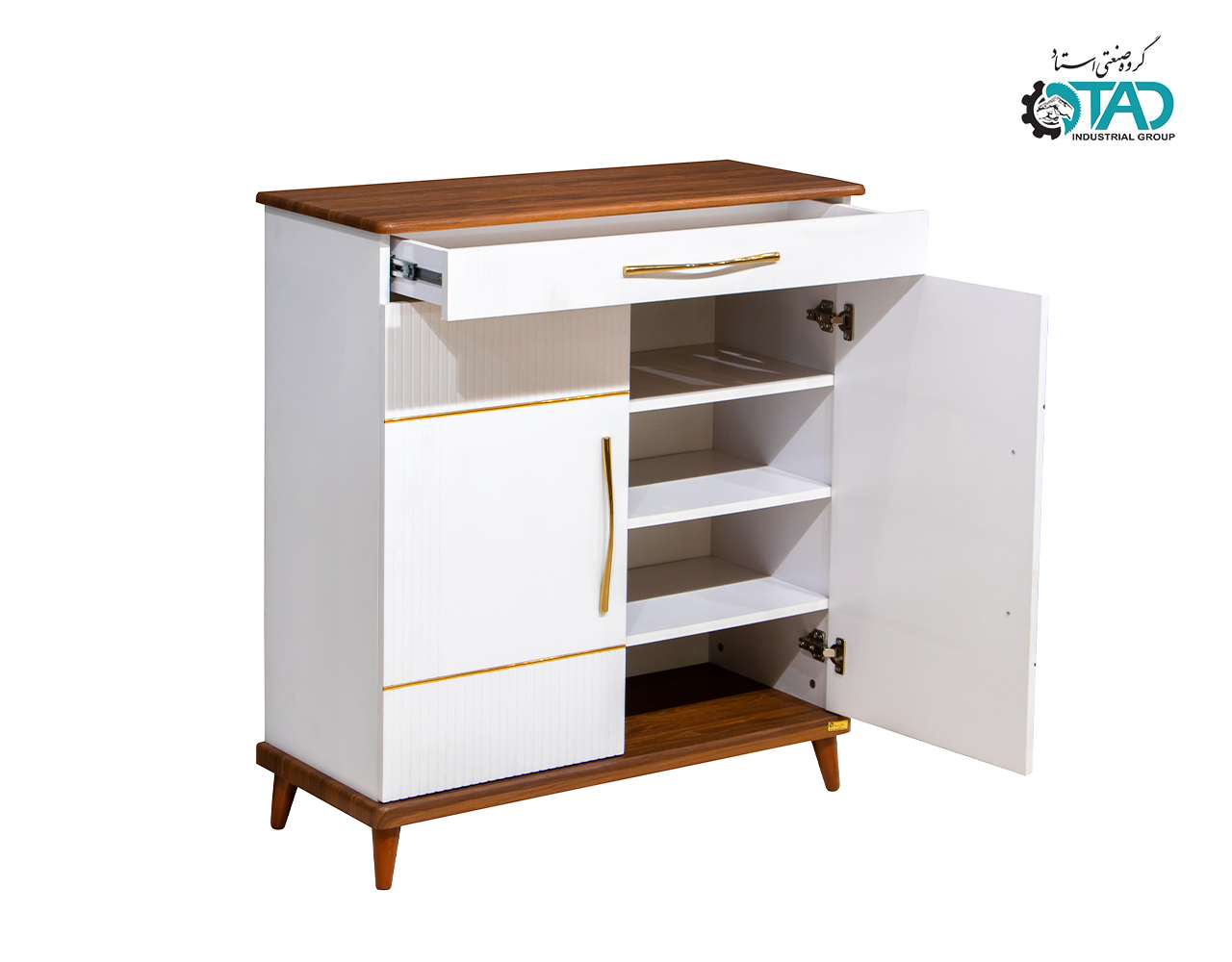 Larisa Shoe Cabinet